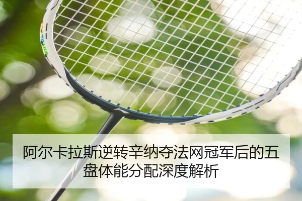 a-er-ka-la-si-ni-zhuan-xin-na-duo-fa-wang-guan-jun-hou-de-wu-pan-ti-neng-fen-pei-shen-du-jie-xi-2-622.jpg